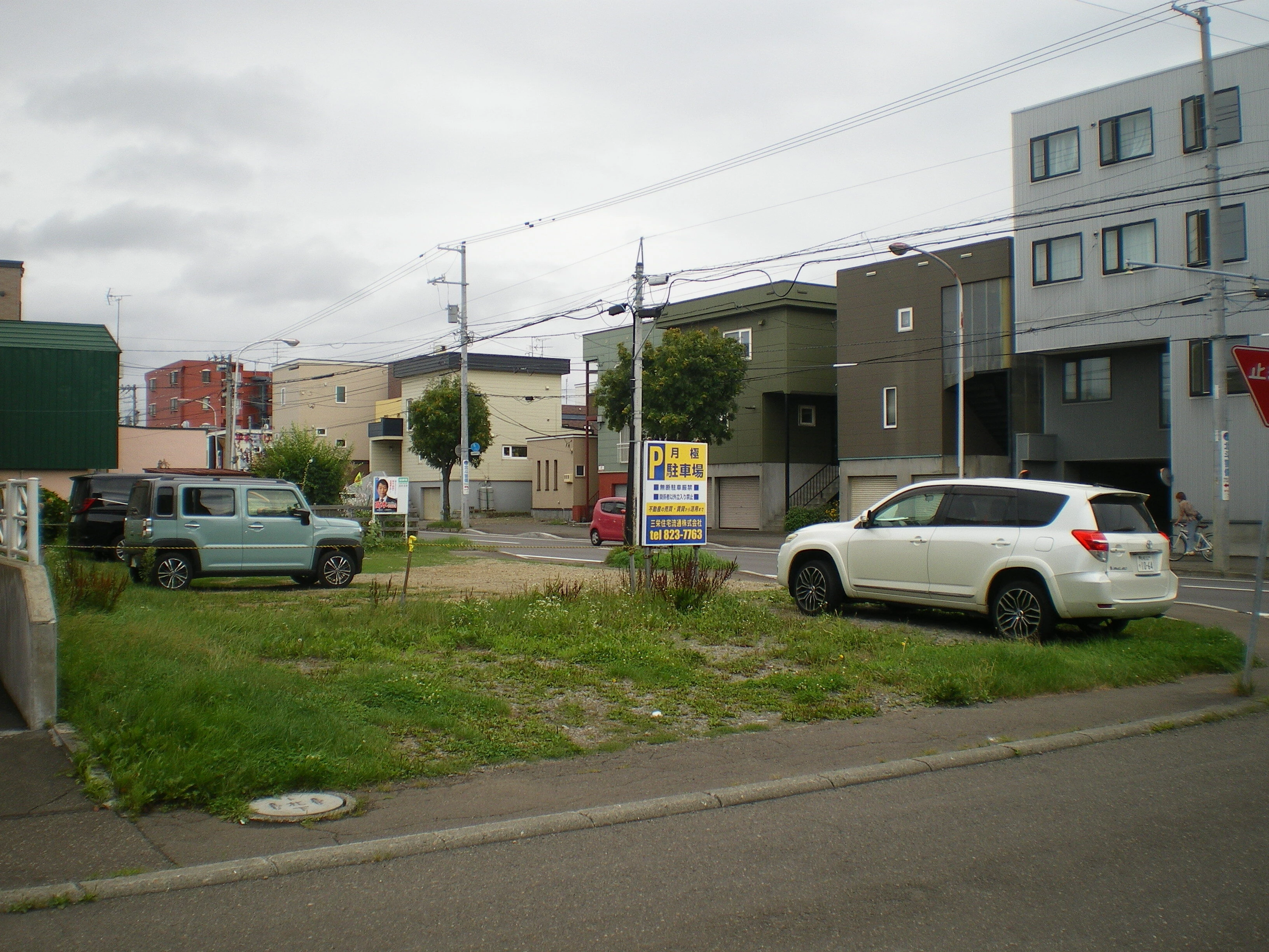 IMGP0031